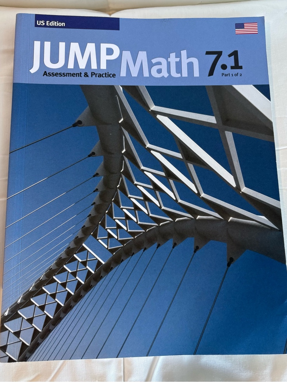 Jump Math 7.1 Assessment and Practice. - Picture 3 of 5